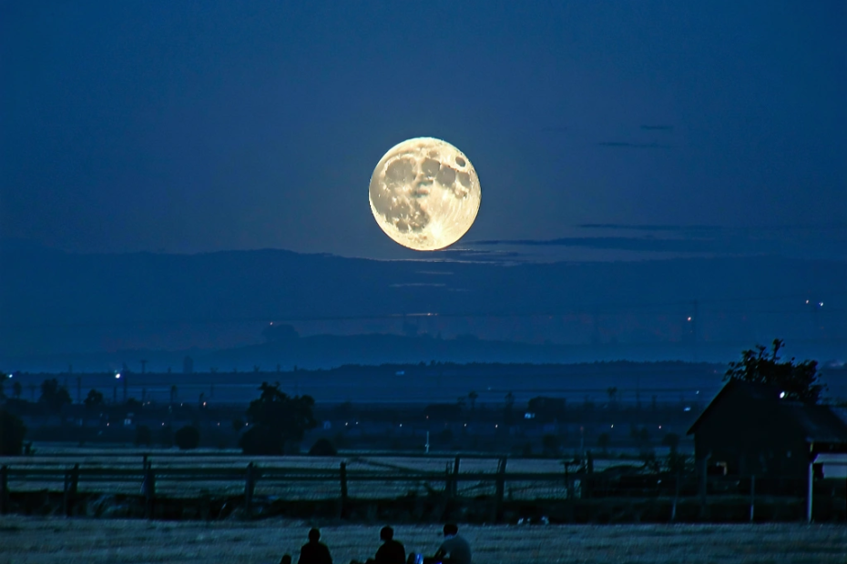 Potential Protective Role of Doxycycline Against Schizophrenia