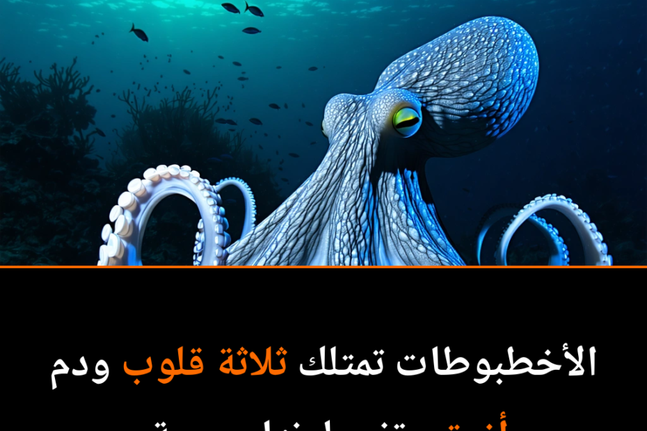 Octopuses: The Alien Brains of the Deep Sea