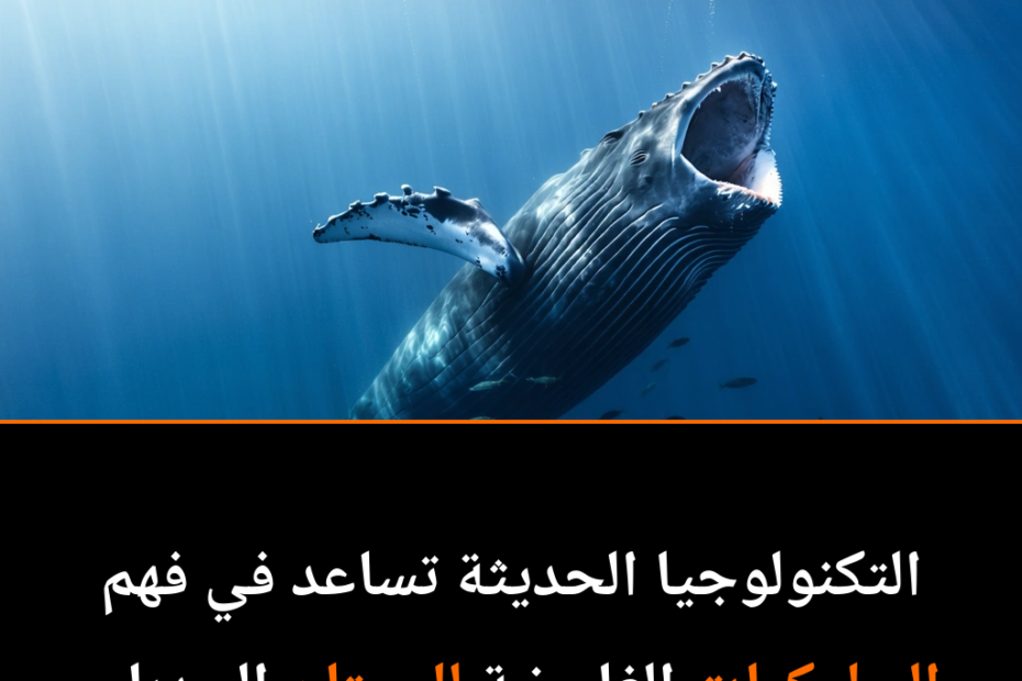 Why Are Humpback Whales Gaping Their Jaws Without Eating?