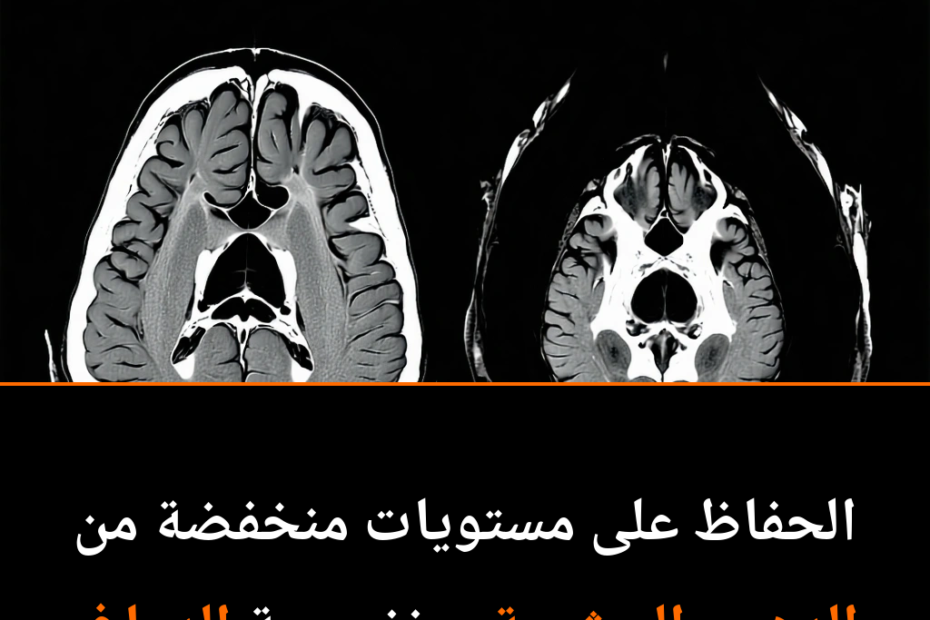Unlocking the Brain: How Hidden Belly Fat Shapes Your Mind