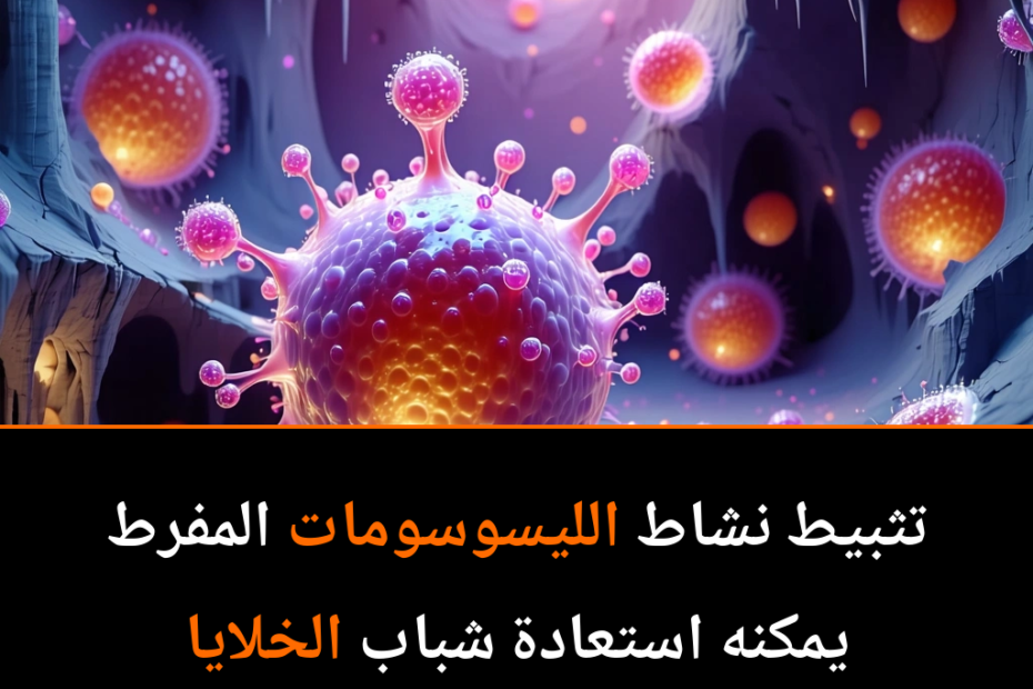 Can We Reverse Aging? The Secret Power of Stem Cells Unveiled