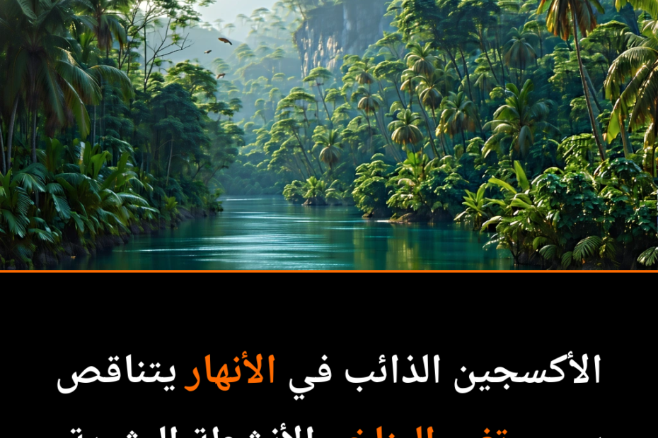 Rivers in Peril: The Alarming Decline of Oxygen Levels Worldwide