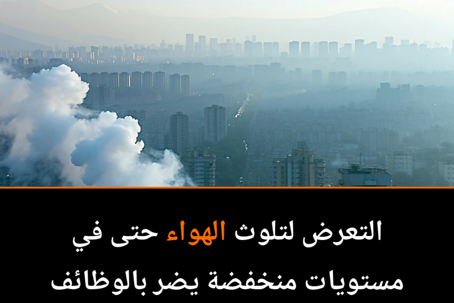 Is the Air We Breathe Secretly Sabotaging Our Brains?