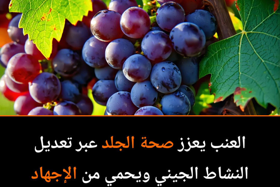 Could Grapes Be the Secret to Radiant Skin?
