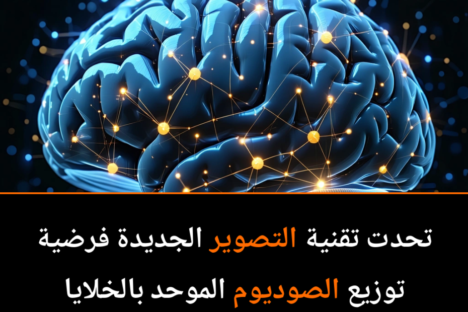 Unlocking the Brain’s Hidden Secrets: Sodium’s Surprising Role in Neural Networks