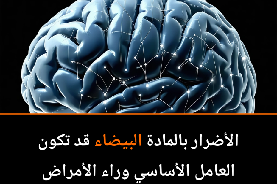Unlocking the Brain’s Secrets: How White Matter Holds the Key to Neurological Health
