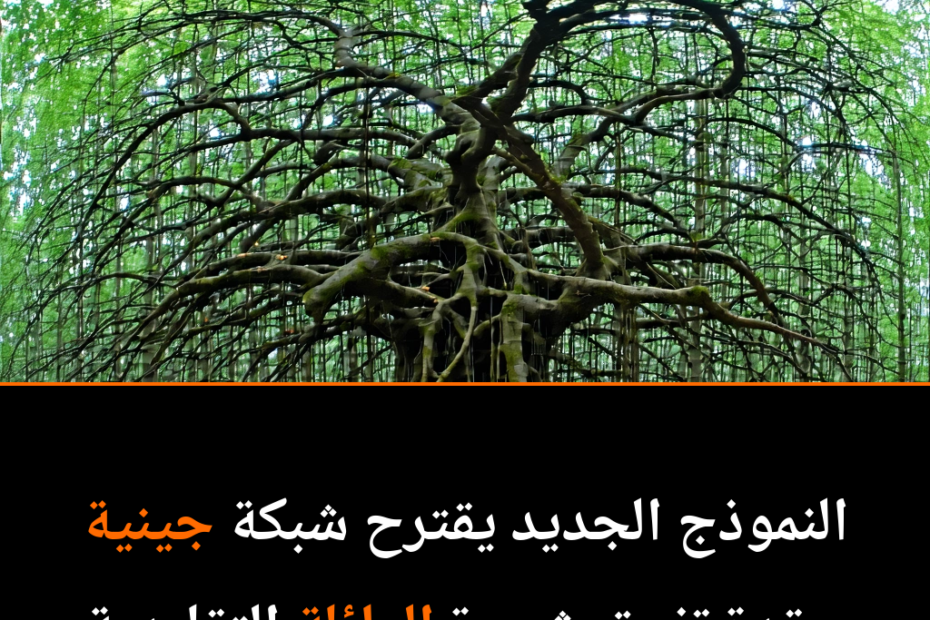 Unraveling the Tangled Roots of Human Evolution: A New Genetic Revelation