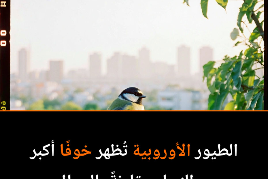 Why Are Birds More Afraid of Women Than Men? The Curious Case of Urban Avian Behavior