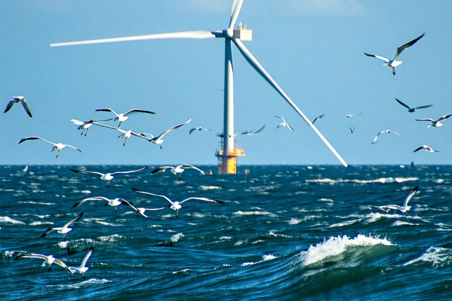 How Wind Farms and Birds Coexist: A Surprising Discovery