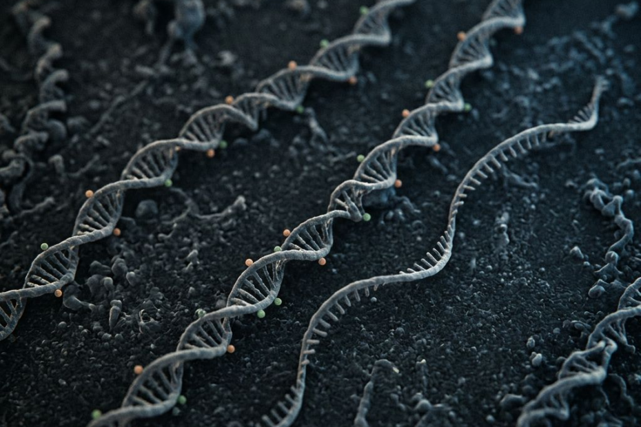 When DNA Meets the Medical Record: A Bigger Data Toolkit for Research