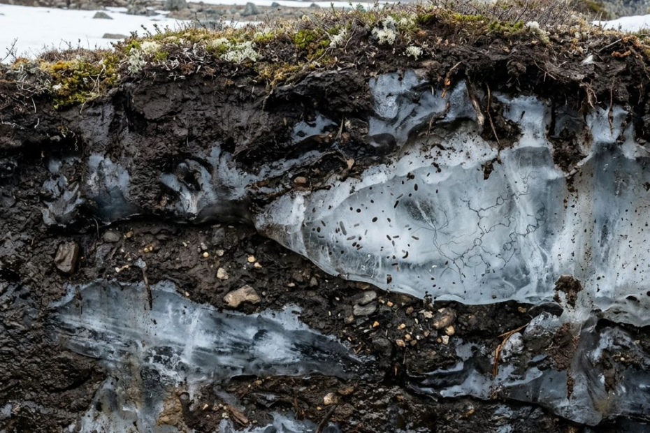 Could Ancient Arctic Microbes Hold the Key to New Medicines?